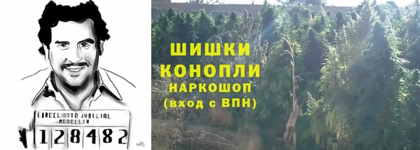 дживик Няндома