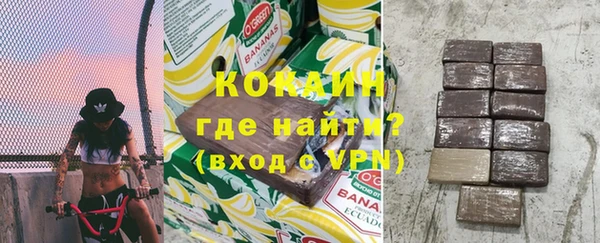 дживик Няндома