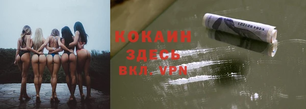 дживик Няндома