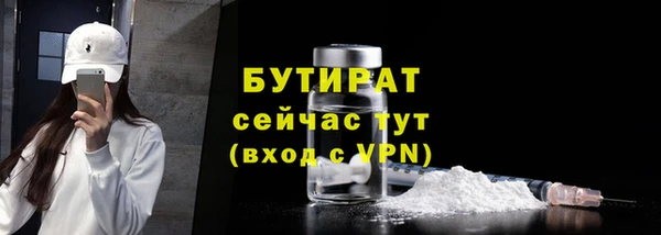 дживик Няндома