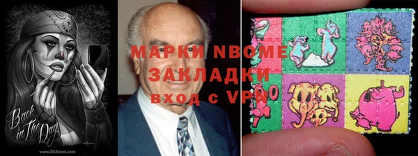 дживик Няндома