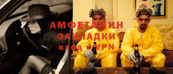 дживик Няндома