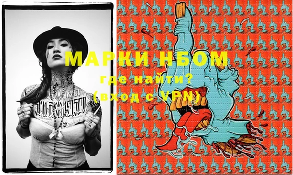 дживик Няндома