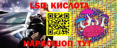 индика Донецк