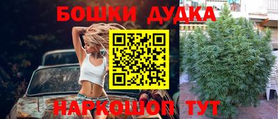 прущие крисы Дубна