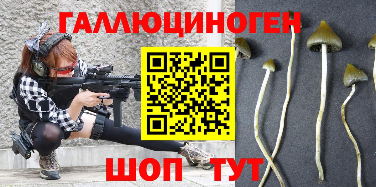 Псилоцибиновые грибы мухоморы  Псилоцибиновые грибы Psilocybine cubensis  Североуральск 