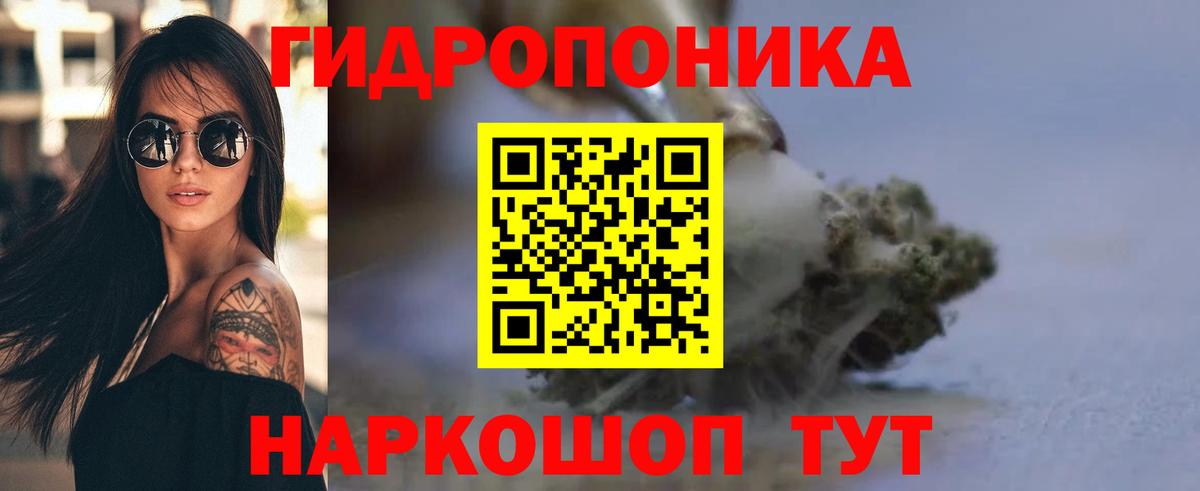 Каннабис сатива  Вход с VPN  Конопля марихуана  Бошки марихуана конопля  Шишки марихуана марихуана  Североуральск 